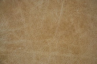 Brown leather texture. Design of leather upholstery of furniture. clipart