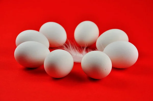 Uova Pollo Bianche Sfondo Rosso — Foto Stock