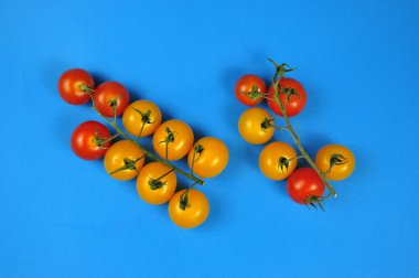 Bir demet sarı ve kırmızı vişneli domates. Mavi arkaplan.