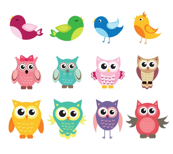 Cute owl and birds set of vector illustration — Stock Vector