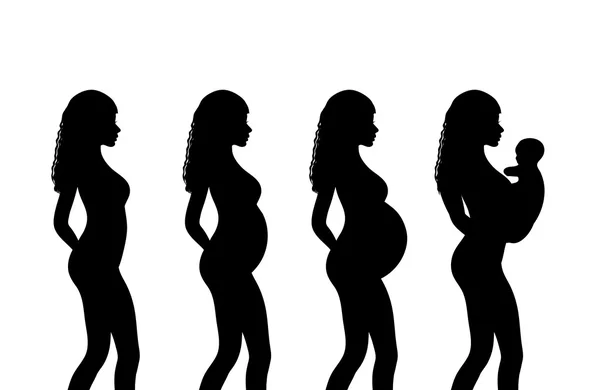 怀孕剪影，怀孕阶段，三个月期，分娩。矢量插图 — 图库矢量图片