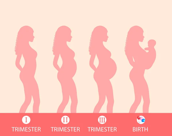 Σιλουέτα εγκυμοσύνης, στάδιο εγκυμοσύνης, τρίμηνο, τοκετός. απεικόνιση διανύσματος — Διανυσματικό Αρχείο