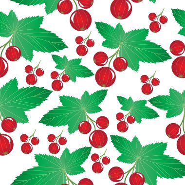 Frenk üzümü Dikişsiz desen vektör