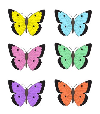 Beyaz arka planda çok renkli kelebekler, bir kelebek koleksiyonu. Vektör illüstrasyonu