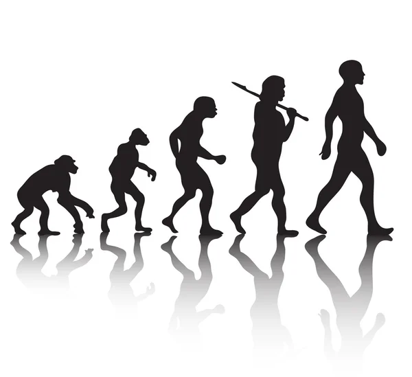 Silhouette de l'évolution humaine sur fond blanc, illustration vectorielle — Image vectorielle