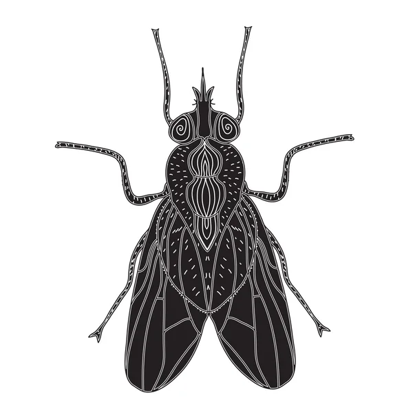 Silueta de insectos mosca. Volar bosquejo un tatuaje. Al estilo Doodle. Diseño moderno. Ilustración vectorial — Archivo Imágenes Vectoriales