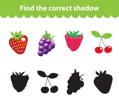 Çocuk eğitim oyunu, doğru gölge silueti bulmak. Meyve doğru gölge bulmak için oyun ayarlayın. Vektör çizimi