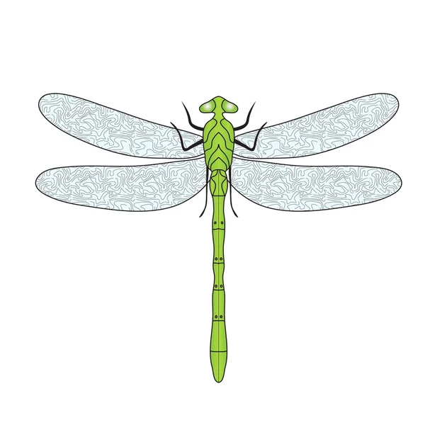 Dragonfly doodle hand ritning stil. Vektor illustration — Stock vektor