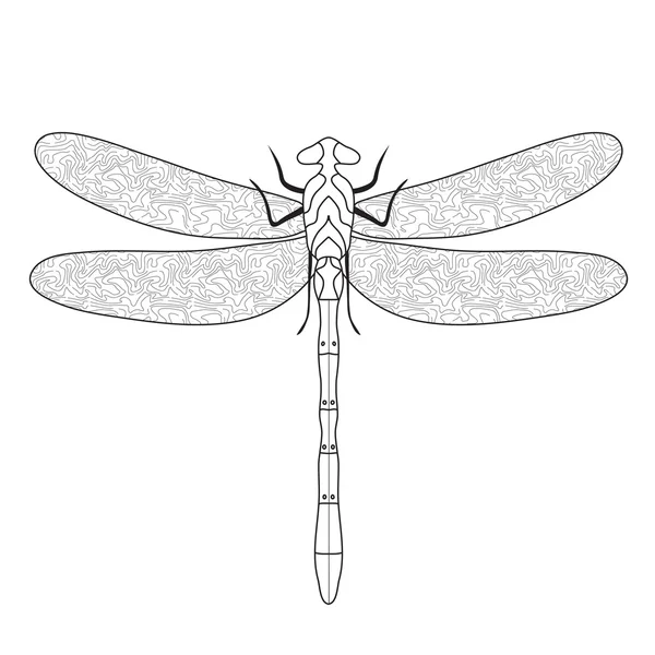 Dragonfly Doodle skiss färg, dragonfly hand ritning. Vektor illustration — Stock vektor
