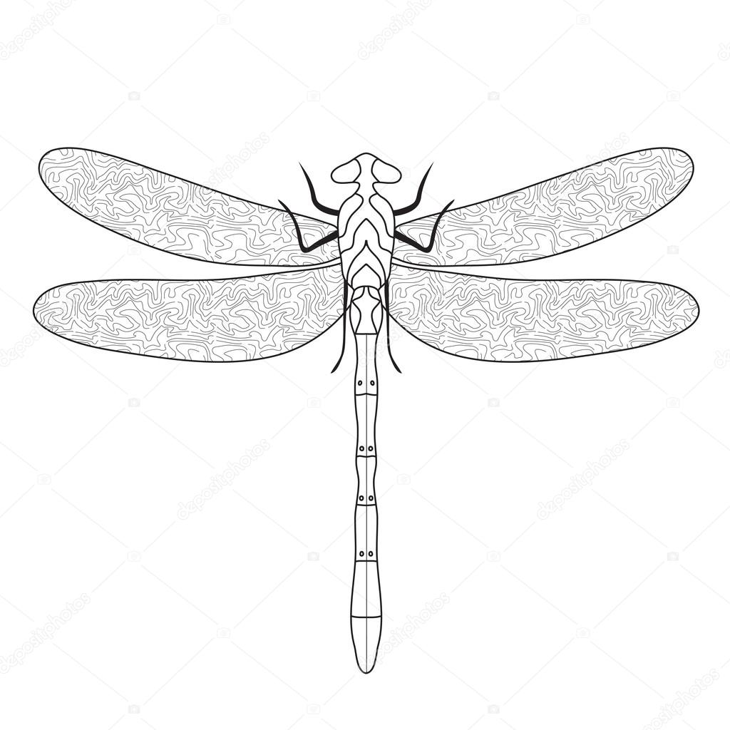 Dragonfly Sketch Book Blank Paper For Drawing Doodling Or