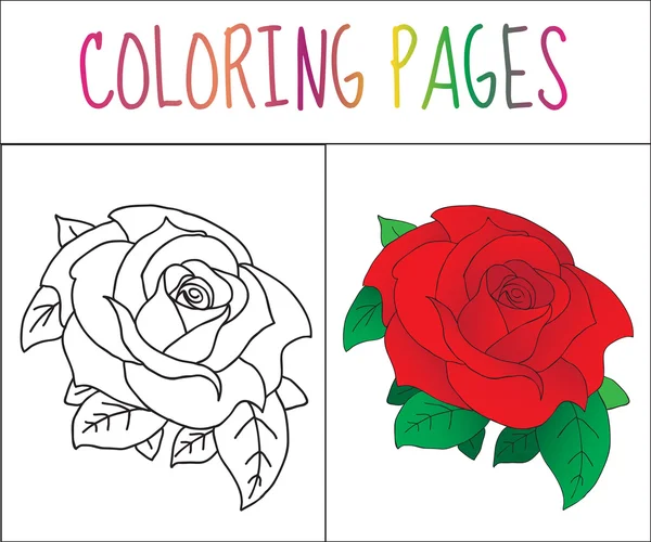 Malbuchseite, Rose. Skizze und Farbversion. Färbung für Kinder. Vektorillustration — Stockvektor
