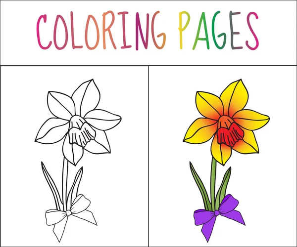 Malbuch, Blume, Iris. Skizze und Farbversion. Färbung für Kinder. Vektorillustration — Stockvektor
