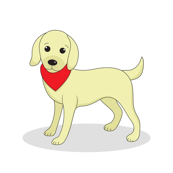 Labrador, schattige hond. Schattige witte pup. Geïsoleerd op witte achtergrond. Vector illustratie — Stockvector