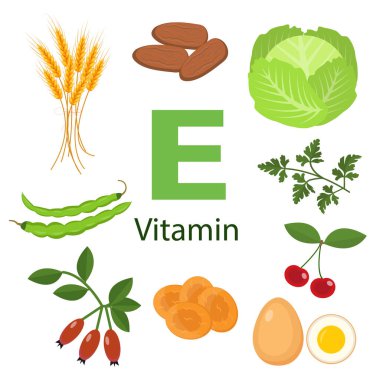 E vitamini ya da Tocopherol gıda kaynakları. E vitamini içerikli doğal organik ürünler. Sağlıklı beslenmenin temel maddeleri.