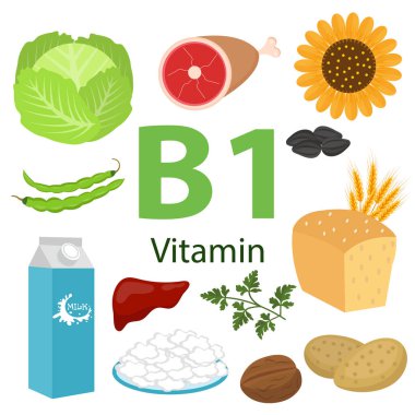 B1 vitamini ve yararlı ürünler. Ispanak, fındık, karnabahar, soğan, bezelye, pancar, patates. Sağlıklı yaşam tarzı ve diyet vektörü kavramı