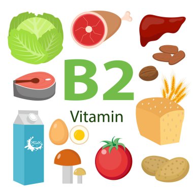 Vitaminler ve Mineral Gıda Illustrator 7.Vector vitamin zengini gıdalar seti. B2 vitamini, süt, yumurta, ıspanak, istiridye, peynir, ciğer, mantar ve brokoli.