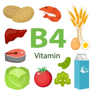 Tıbbi ve gıda ikonları diyeti, sağlıklı gıda ve refah kavramına sahip B4 vitamini beslenme bilgileri