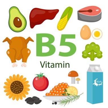 B5 vitamini ve kullanışlı ürünler avokado, karnabahar, yumurta, fasulye, mısır, süt, incir, mantar. Sağlıklı yaşam tarzı ve diyet vektörü kavramı