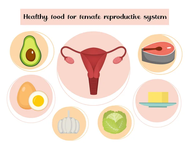 Healthy food for female reproductive system infographics. Prevention of diseases of the uterus and ovaries, hormonal imbalance. Medicine concept. Vector illustration — 스톡 벡터