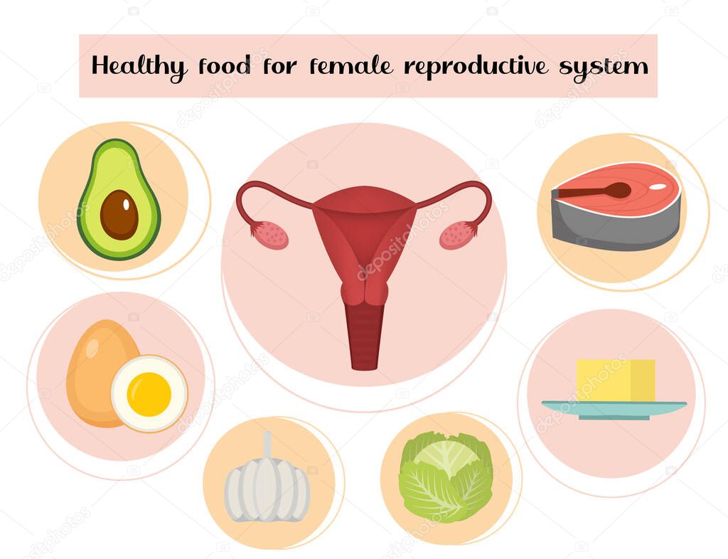 Healthy food for female reproductive system infographics. Prevention of diseases of the uterus and ovaries, hormonal imbalance. Medicine concept. Vector illustration