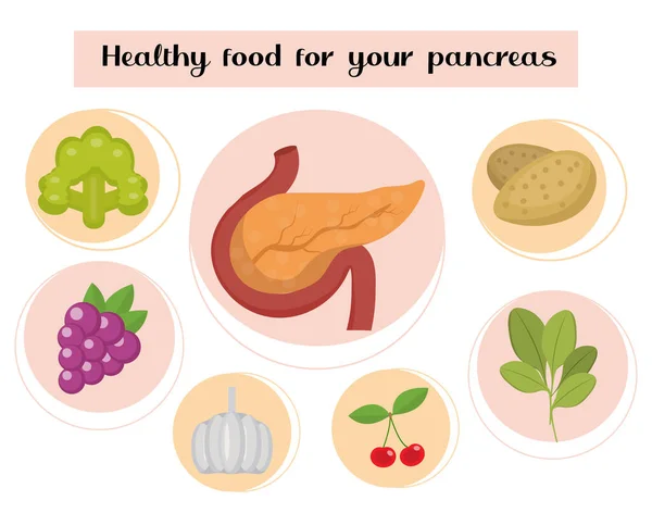 Cibo sano per il pancreas. Concetto di cibo e vitamine, medicina, prevenzione di malattie pancreatiche. Illustrazione vettoriale — Vettoriale Stock