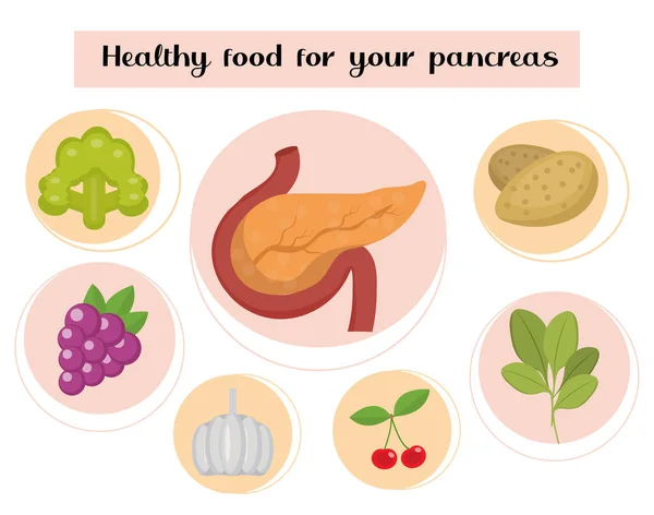 Zdravé jídlo pro slinivku břišní. Koncept jídla a vitamínů, medicína, prevence onemocnění slinivky břišní. Vektorová ilustrace — Stockový vektor