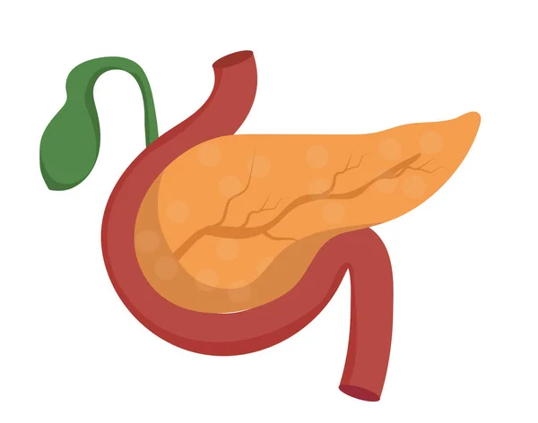 Pankreas ikon i tecknad stil isolerad på vit bakgrund. Organ symbol stock vektor illustration — Stock vektor