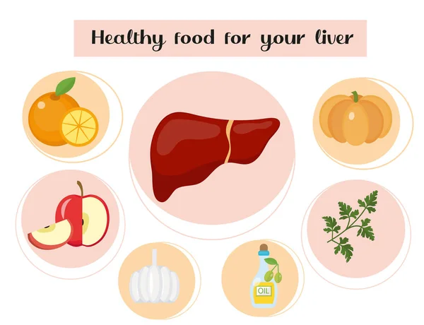 Cibo sano per il fegato. Concetto di cibo e vitamine, medicina, prevenzione delle malattie epatiche. Illustrazione vettoriale — Vettoriale Stock