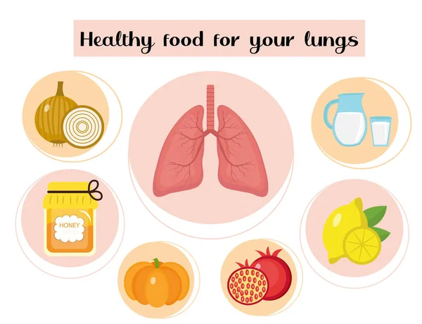 Υγιεινή τροφή για τους πνεύμονες. Έννοια των τροφίμων και βιταμινών, ιατρική, πρόληψη των αναπνευστικών ασθενειών. Εικονογράφηση διανύσματος — Διανυσματικό Αρχείο