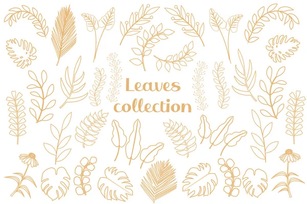 Modern golden tropical leaves Set, palm, monstera. Scandinavian minimalism in line style, sketches of plants, flowers for design. Vector illustration — Stock Vector