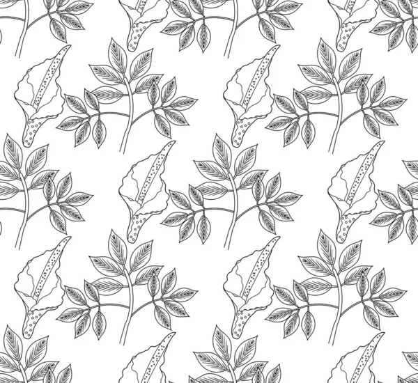 Amorphophallus konjac planta sem costura padrão mão desenho esboço linha estilo. Textura de repetição Konjak, fundo sem fim. Ilustração vetorial — Vetor de Stock
