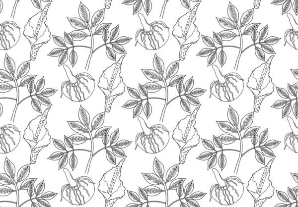Amorphophallus konjak växt sömlös mönster hand ritning kontur stil. Konjak repeterar textur, oändlig bakgrund. Vektorillustration — Stock vektor