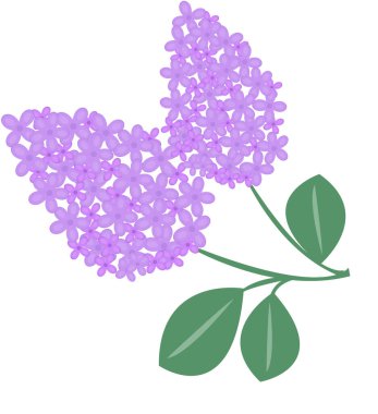 Leylak dalı çiçek ikonu. Vektör illüstrasyonu.