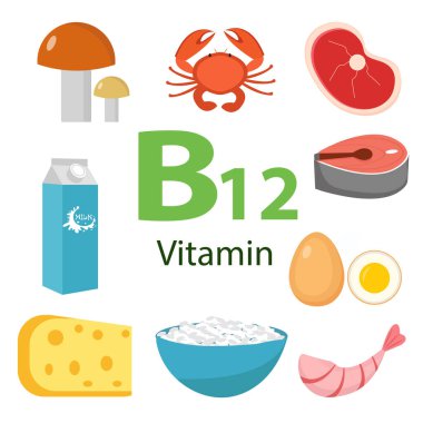 B12 vitamini bilgi seti. Sağlıklı yaşam tarzı ve diyet vektörü konsepti. Vektör illüstrasyonu