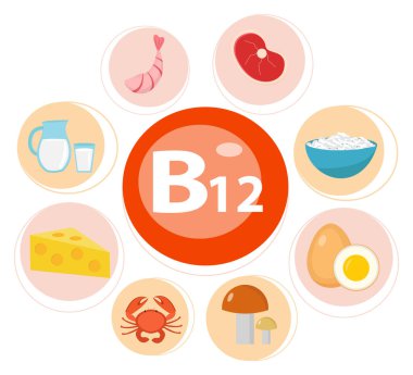 B12 vitamini bilgi seti. Sağlıklı yaşam tarzı ve diyet vektörü konsepti. Vektör illüstrasyonu.