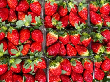 Birçok olgun kırmızı çilek satılmak üzere kapanıyor..