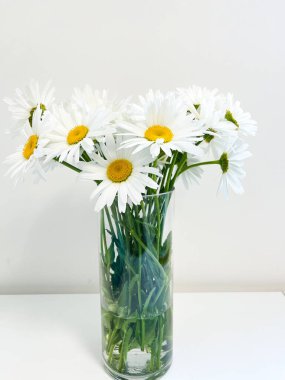 Cam bir vazoya konmuş bir buket güzel margatita çiçeği. .