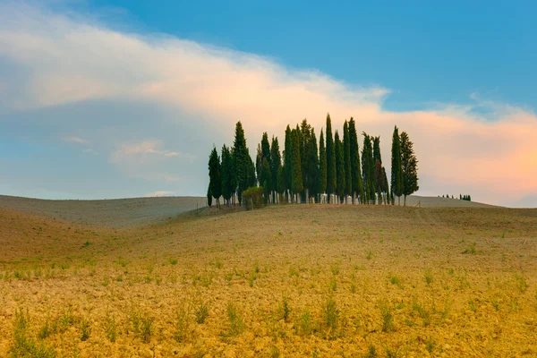 Toskana Herbstlandschaft — Stockfoto