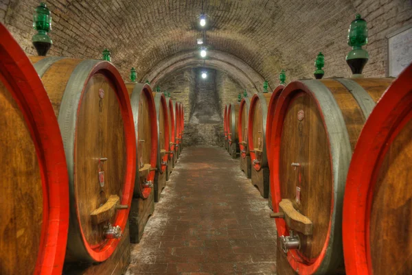 Ruang bawah tanah dengan barel anggur — Stok Foto