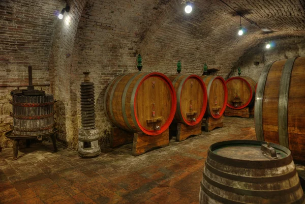 Cantina con botti di vino — Foto Stock