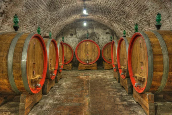 Cantina con botti di vino — Foto Stock