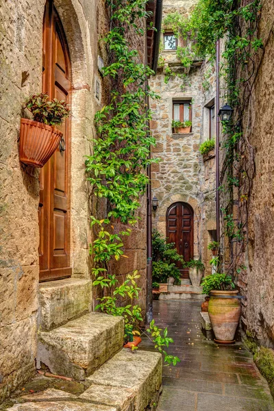 Vicolo nel centro storico Pitigliano Toscana Italia — Foto Stock