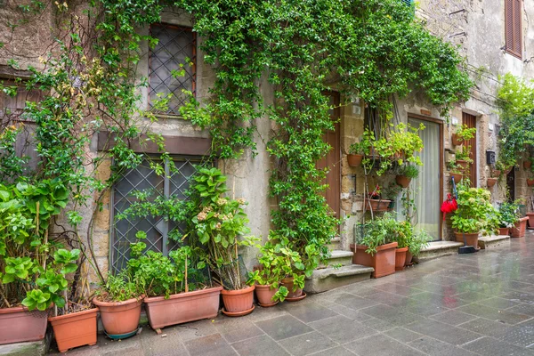 Vicolo nel centro storico Pitigliano Toscana Italia — Foto Stock