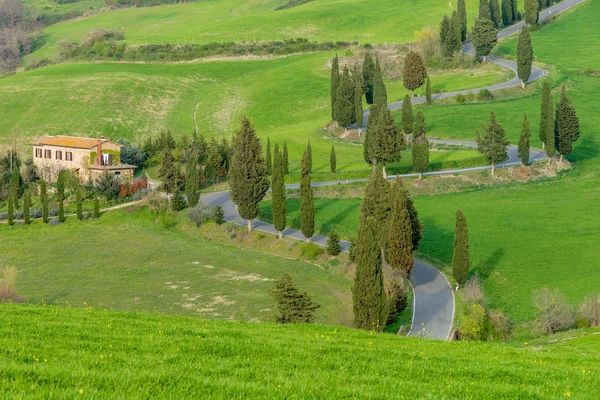 Toskana Frühlingslandschaft Italien — Stockfoto