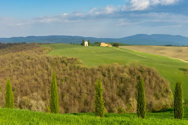 Tuscany Spring Landscape Italy Stock Image