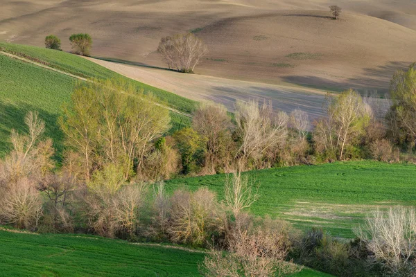 Frühlingslandschaft Toskana — Stockfoto