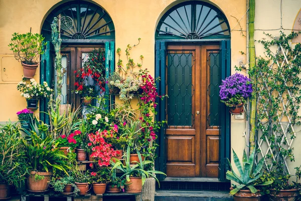 Jardim colorido no beco — Fotografia de Stock