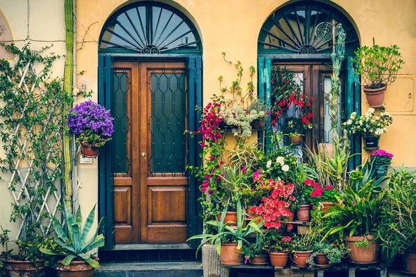 Bunter Garten in der Gasse — Stockfoto