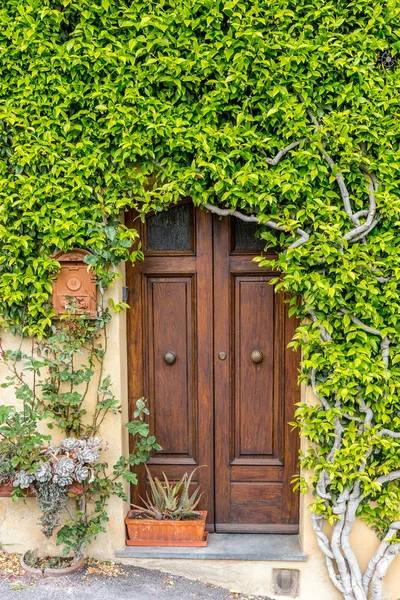 Portas de vegetação — Fotografia de Stock