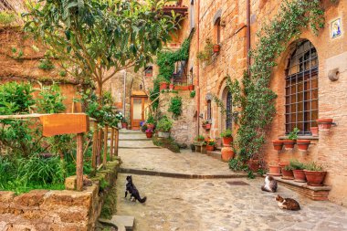 Güzel tarihi kent Tuscany sokakta